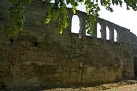 Cjp_2010_05_04_065112 (2).jpg